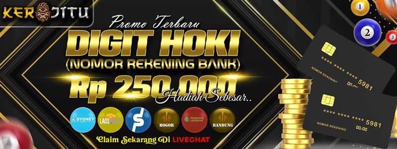 DIGIT HOKI